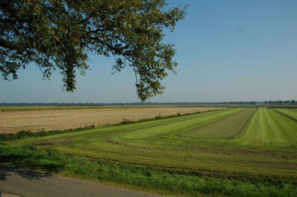 Huize Ouwervelden Bed & Breakfast Wouwsche Plantage Eksteriør bilde